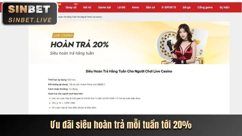 Tổng quan Chương trình VIP slot365 ios